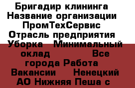 Бригадир клининга › Название организации ­ ПромТехСервис › Отрасль предприятия ­ Уборка › Минимальный оклад ­ 30 000 - Все города Работа » Вакансии   . Ненецкий АО,Нижняя Пеша с.